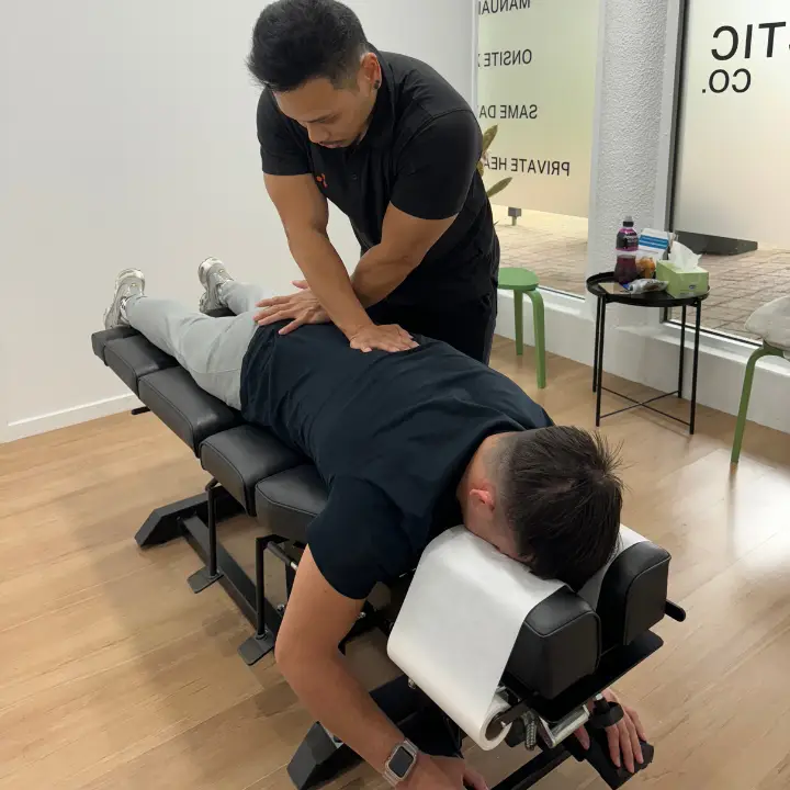 chiropractor near lower plenty​